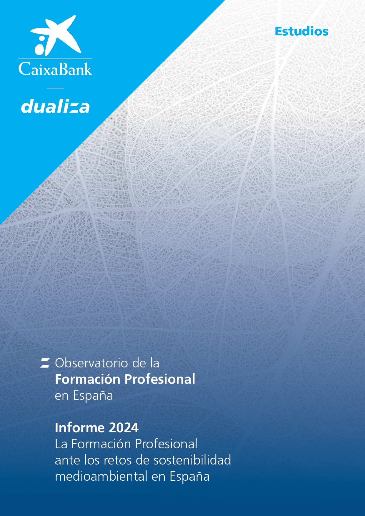 Observatorio sobre la FP en España. Informe 2024